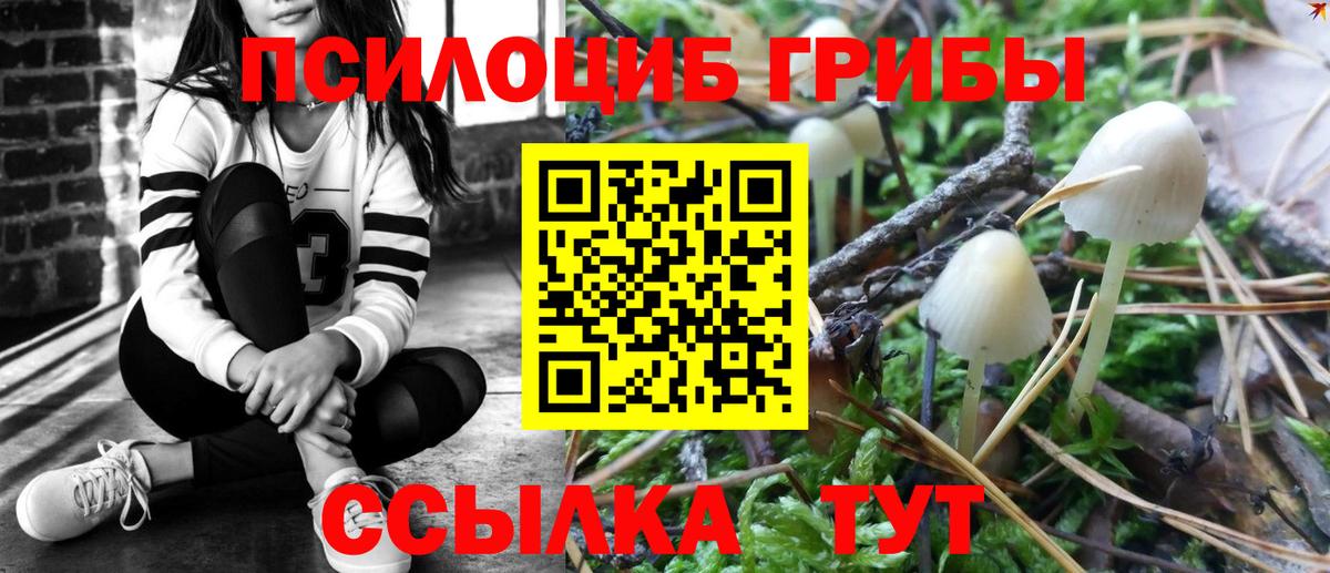 Лянтор  Псилоцибиновые грибы мицелий  Вход с VPN 